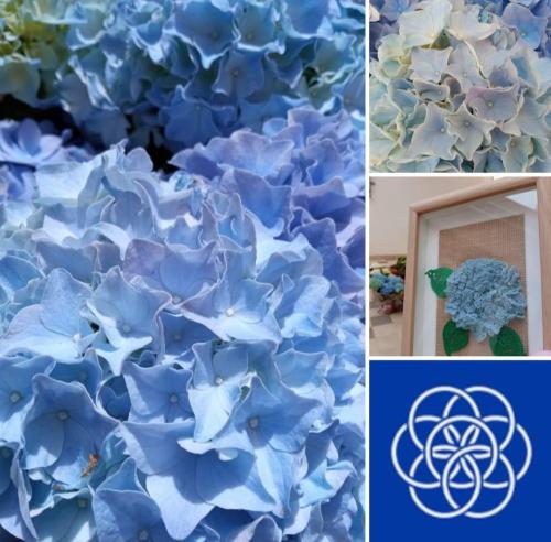 060 - Loredana-Di-Corrado - Alla-terra - Fotografia-collage