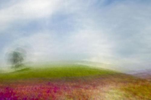 116 - Francesco-Mercadante - Fields-in-spring-4 - 120x90-cm - Fotografia-digitale