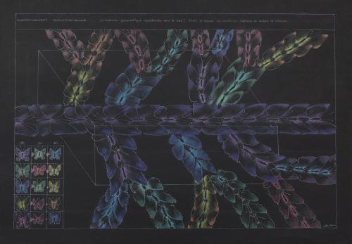 341 Gilles-Roux Deviazione-spontanea-verso-il-basso Matite-su-carta 100x70-cm