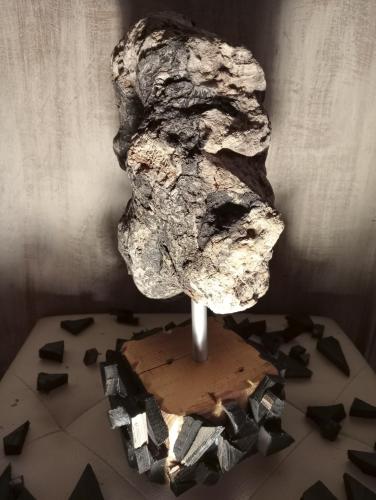 270 Loredana-Pellegrino Caos-Lestinzione-della-natura Legno-acciaio 15x30-cm