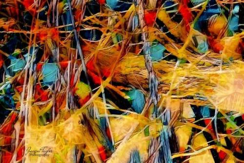 Fotografia - Taylor-Jacqui - 0934 - Nature s-Abstract - Photography - 30x21.37-cm
