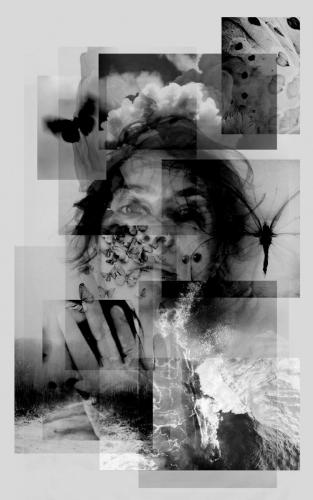 228-Trevisan-Chiara-Echoes-Grafica-digitale-da-stampare-su-tela-45x72-cm