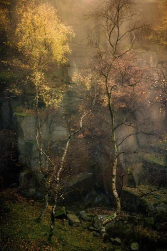 VideoEsposizione - Fotografia - Michael-Jenkinson-Michael-K-Jenkinson - 225 - Autumns-Symphony - Photography - 4082x6123-px