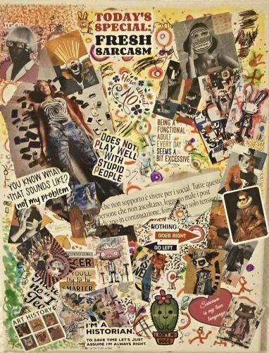 VideoEsposizione - Pittura - Simona-Cangelli-Strimi21 - 048 - Fresh-Sarcasm - Tecnica-mista-collage - 50x40-cm