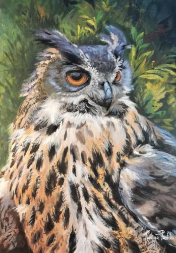 TSNY24 - Pittura NOP - V