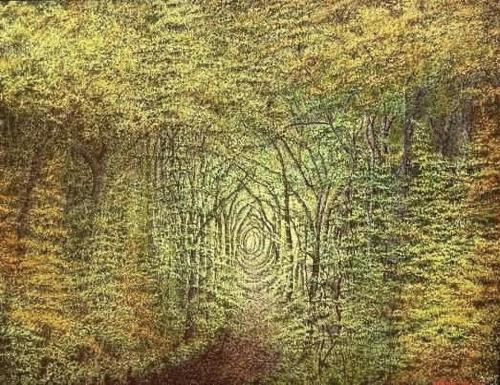 Varvarande-Marc- - 520 - Bois-des-landes - 116x89-cm - Huile-sur-lin