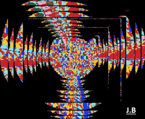 113 - Jacques-Bellezit- - Vinyles - 1013x124-cm - Art-numerique