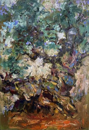066 - Sergiu-Rusu- - Viel-Olivier - 65x46-cm - Huile-sur-toile