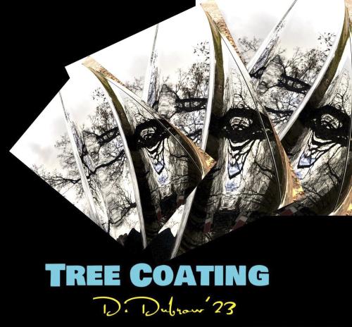267 - Damaris-Dubrow-Dubrow - Tree-coating - 24x30-cm - Foto-collage