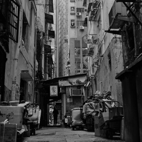 662-KaWing-Sin-Dave-Sin-Artificial-Jungle-Causeway-Bay-20230718-1521-33x33-cm-Fine-art-photo-paper