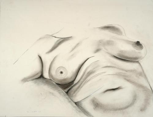 247 - Dominique-Descamps-Dominique - Deborah - 50x65-cm - Crayon-fusain-
