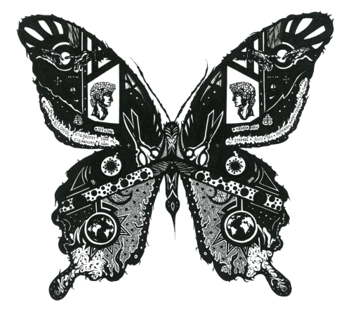 409 - Kristaps-Krumins-Kris-Exile - Papilio-Ascalaphus-Celestial-Beauty - 297x42-cm - Rapidograph-pen-on-recycled-paper